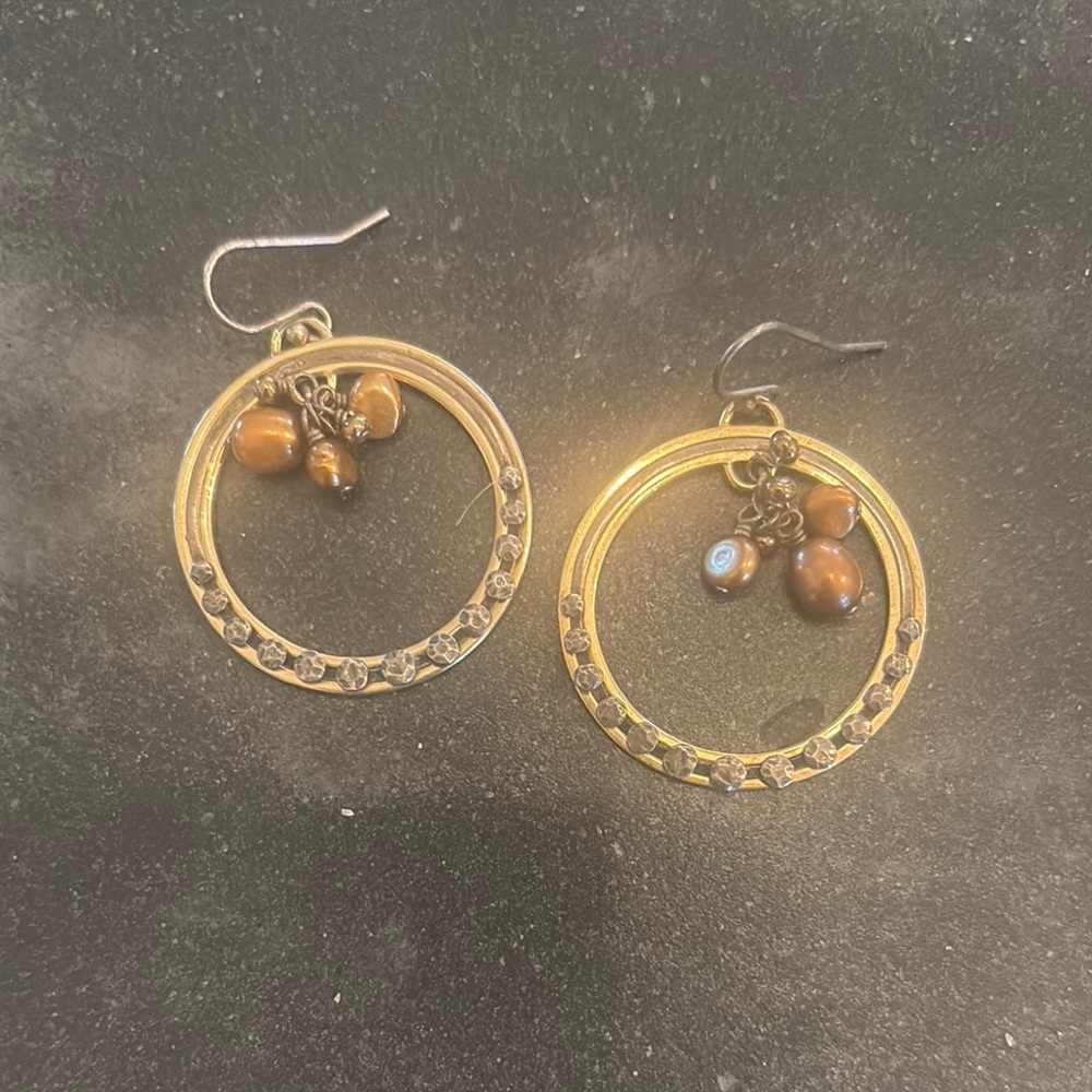 Gold and Brown Hoop Earrings